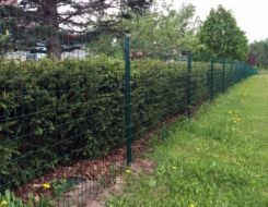 Сварная сетка Сварная сетка