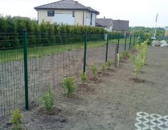 Сварная сетка Сварная сетка